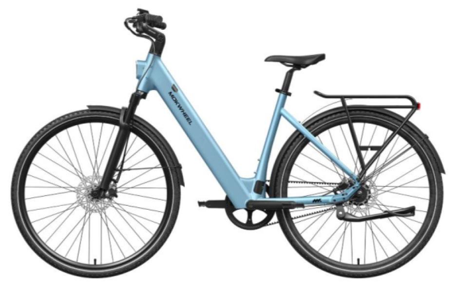 V20 Cross - Skinny Bike - Dune Beast Fatbike
